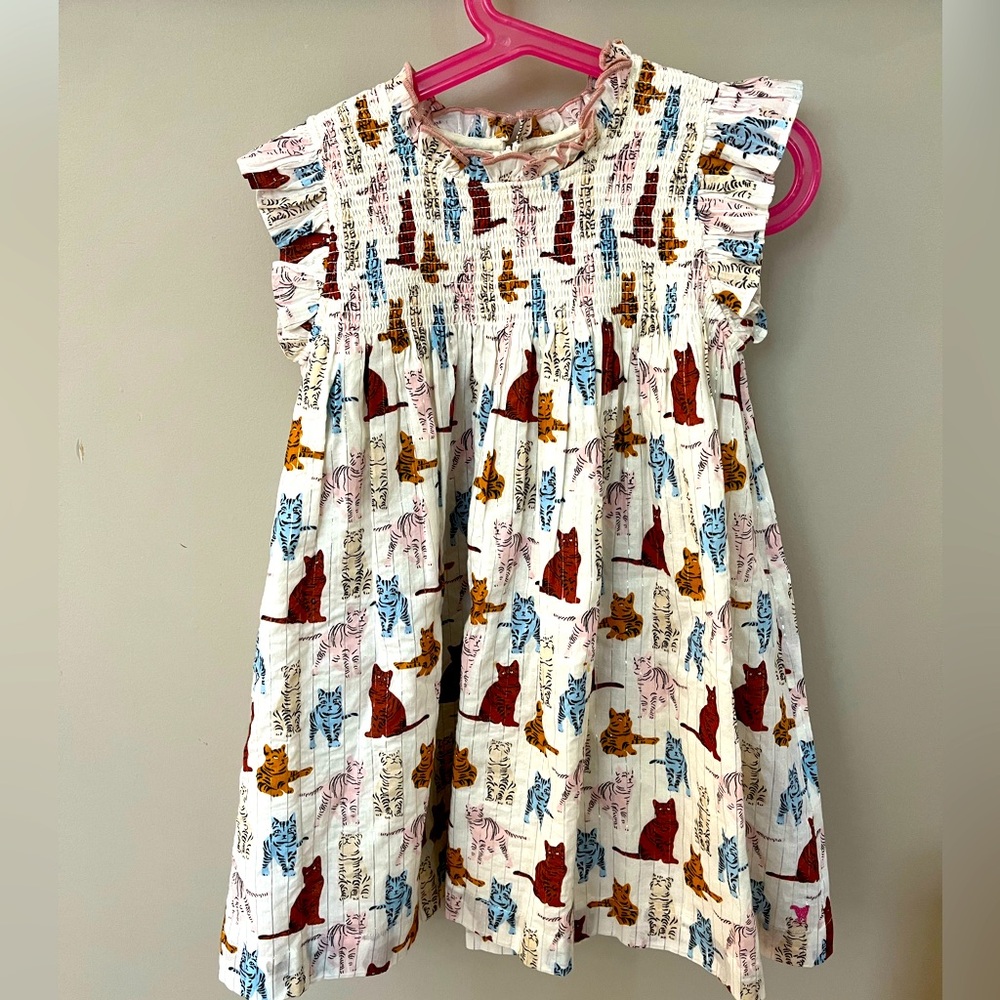 Pink Chicken 4T kitten dress NWOT